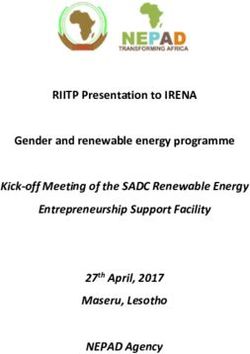 RIITP Presentation to IRENA Gender and renewable energy programme - Kick-off Meeting of the SADC Renewable Energy Entrepreneurship Support ...