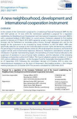 A new neighbourhood, development and international cooperation instrument