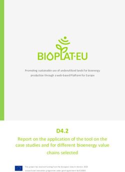 D4.2 Report on the application of the tool on the case studies and for different bioenergy value chains selected - BIOPLAT-EU