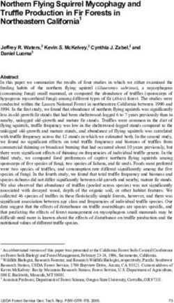 Northern Flying Squirrel Mycophagy and Truffle Production in Fir Forests in Northeastern California1