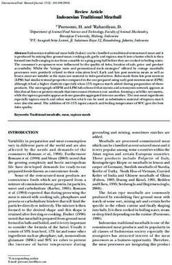 Indonesian Traditional Meatball - Review Article