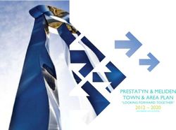 PRESTATYN & MELIDEN TOWN & AREA PLAN - "LOOKING FORWARD TOGETHER" 2012 2020 - Denbighshire ...