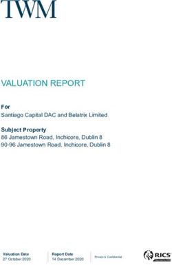VALUATION REPORT For - Santiago Capital