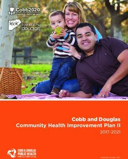 Cobb and Douglas Community Health Improvement Plan II 2017-2021