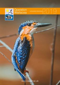 Operation Wallacea - University brochure 2019