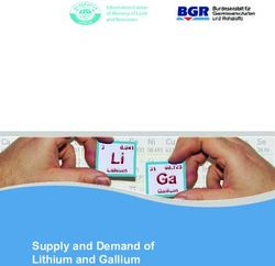 Supply and Demand of Lithium and Gallium - Information Center of Ministry of Land and Resources - Bund.de