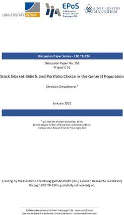 Stock Market Beliefs and Portfolio Choice in the General Population