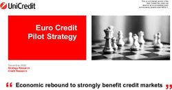 Euro Credit Pilot Strategy - Economic rebound to strongly benefit credit markets December 2020 Strategy Research Credit Research - UniCredit Group