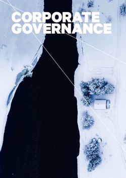 CORPORATE GOVERNANCE - SES