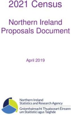 2021 Census Northern Ireland Proposals Document - April 2019