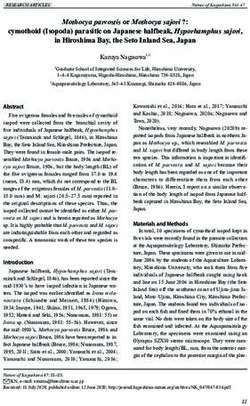 In Hiroshima Bay, the Seto Inland Sea, Japan