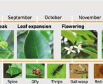 Bait spraying is the most reliable and integrated pest management friendly way to reduce Queensland fruit fl y numbers in a citrus orchard ...