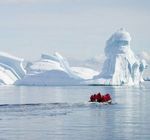 THE GREAT AUSTRAL LOOP - FALKLANDS, SOUTH GEORGIA & ANTARCTICA