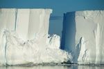 THE GREAT AUSTRAL LOOP - FALKLANDS, SOUTH GEORGIA & ANTARCTICA