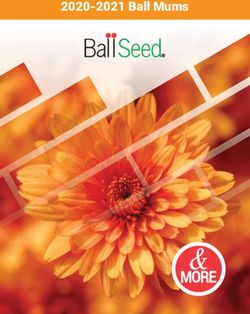 2020-2021 Ball Mums - Ball Seed
