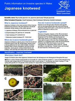 Japanese knotweed Public information on invasive species in Wales - GOV.WALES
