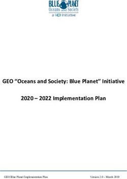 GEO "OCEANS AND SOCIETY: BLUE PLANET" INITIATIVE 2020 - 2022 IMPLEMENTATION PLAN - GEOBLUEPLANETIMPLEMENTATIONPLAN VERSION2.0-MARCH2019 - WMO