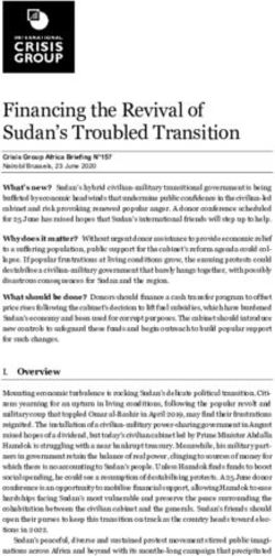 Financing the Revival of Sudan's Troubled Transition - June ...