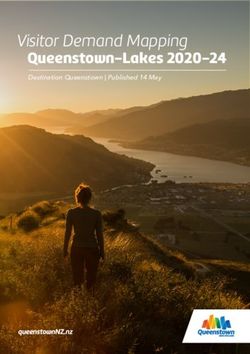 Visitor Demand Mapping Queenstown-Lakes 2020-24 - Destination Queenstown | Published 14 May