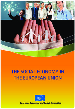 THE SOCIAL ECONOMY IN THE EUROPEAN UNION