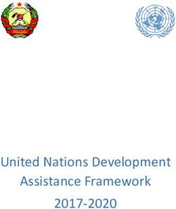 United Nations Development Assistance Framework 2017-2020