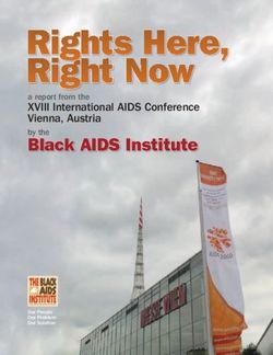 Rights Here, Right Now - Black AIDS Institute XVIII International AIDS Conference Vienna, Austria by