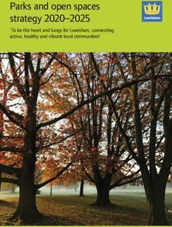 Parks and open spaces strategy 2020-2025 - 'To be the heart and lungs for Lewisham, connecting active, healthy and vibrant local communities' ...