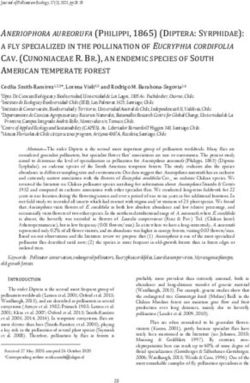 ANERIOPHORA AUREORUFA PHILIPPI, 1865 DIPTERA: SYRPHIDAE: A FLY SPECIALIZED IN THE POLLINATION OF EUCRYPHIA CORDIFOLIA CAV. CUNONIACEAE R ...