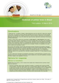 RAPID RISK ASSESSMENT - Outbreak of yellow fever in Brazil - ReliefWeb
