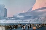 In memoriam Bruno Penguin Zehnder, 1945-1997, the famous Antarctic Photographer