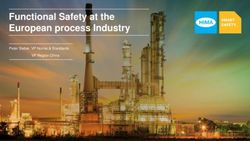 Functional Safety at the European process Industry - Peter Sieber, VP Norms & Standards VP Region China - Proses Emniyeti ...