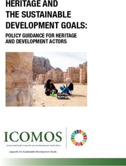 HERITAGE AND THE SUSTAINABLE DEVELOPMENT GOALS: POLICY GUIDANCE FOR HERITAGE AND DEVELOPMENT ACTORS - ICOMOS