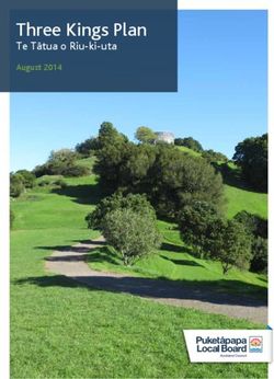 Three Kings Plan Te Tātua o Riu-ki-uta - August 2014