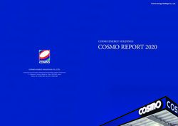 COSMO REPORT 2020 COSMO ENERGY HOLDINGS - COSMO ENERGY HOLDINGS CO., LTD.