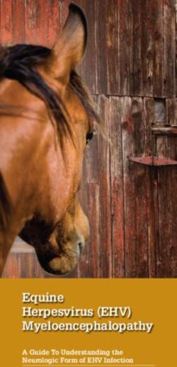 Equine Herpesvirus (EHV) Myeloencephalopathy - A Guide To Understanding the Neurologic Form of EHV Infection - USDA ...