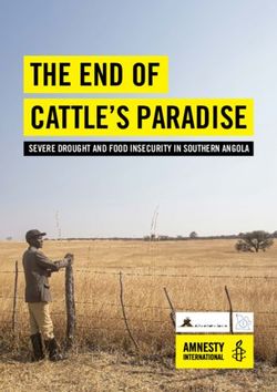 THE END OF CATTLE'S PARADISE - SEVERE DROUGHT AND FOOD INSECURITY IN SOUTHERN ANGOLA - ALNAP