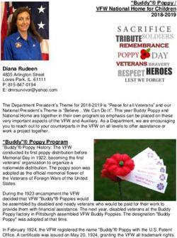 "Buddy" Poppy / VFW National Home for Children 2018-2019