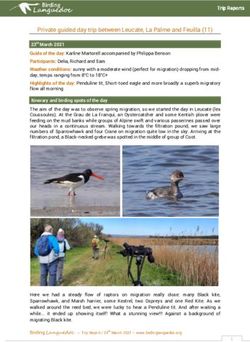 Private guided day trip between Leucate, La Palme and Feuilla (11)