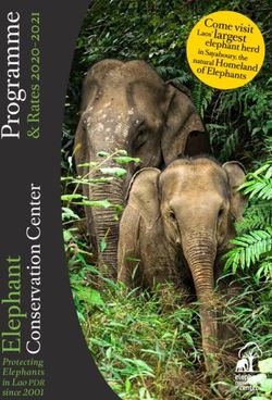 Protecting Elephants in Lao PDR since 2001 - Elephant Conservation Center