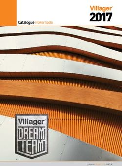 Catalogue Power tools Villager 2017