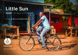 LITTLE SUN 2020 | A YEAR IN PICTURES - WE ARE ALL #CONNECTEDBYTHESUN