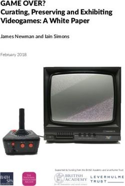 GAME OVER? Cura.ng, Preserving and Exhibi.ng Videogames: A White Paper - James Newman and Iain Simons - VHS