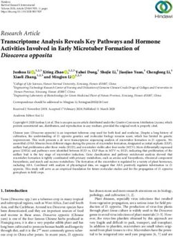 Transcriptome Analysis Reveals Key Pathways and Hormone Activities Involved in Early Microtuber Formation of Dioscorea opposita