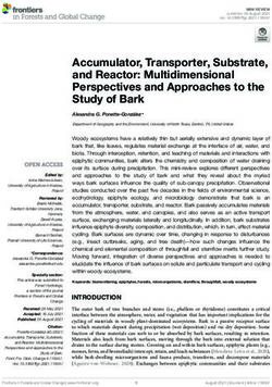 Accumulator, Transporter, Substrate, and Reactor: Multidimensional Perspectives and Approaches to the Study of Bark - Frontiers