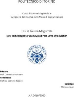 POLITECNICO DI TORINO - Webthesis