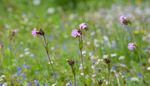 WORK AND PLAY IN YOUR NATIONAL PARK - South Downs National Park ...