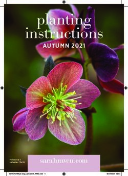 Planting instructions - AUTUMN 2021 - sarahraven.com - Sarah Raven