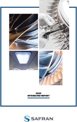 INTEGRATED REPORT 2020 - Safran Group