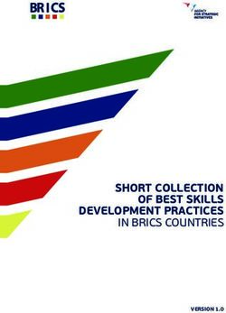 SHORT COLLECTION OF BEST SKILLS DEVELOPMENT PRACTICES - IN BRICS COUNTRIES - BIBB