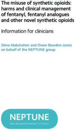 NEPTUNE - The misuse of synthetic opioids: harms and clinical management of fentanyl, fentanyl analogues and other novel synthetic opioids ...